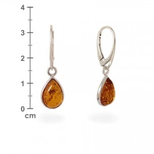 Amber Earrings | Sterling silver | Height - 33mm, Width - 9mm | Weight - 2,7g | ZD.681
