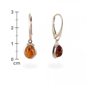 Amber Earrings | Sterling silver | Height - 29mm, Width - 9mm | Weight - 2,5g | ZD.321K
