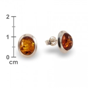 Amber Earrings | Sterling silver | Height - 11mm, Width - 9mm | Weight - 1,8g | ZD.770S