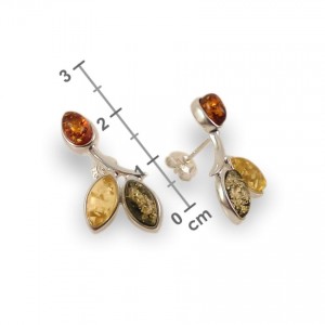 Amber Earrings | Sterling silver | Height - 24mm, Width - 12mm | Weight - 3,1g | ZD.839S
